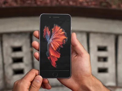iPhone 6 Plus In 2023! (Still Worth It?) (Review) - YouTube