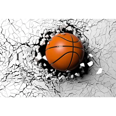 Мяч баскетбольный Axelus купить по низким ценам в интернет-магазине Uzum  (280138)
