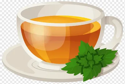 Иллюстрация Традиционного Травяного Чая Чашка Чая Чайные Листья Восточный  Китайский Векторное изображение ©serdjo13 656648108