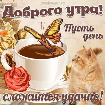 Картинка Доброе Утро и пусть день сложится удачно с котиком и чашкой кофе —  скачать бесплатно