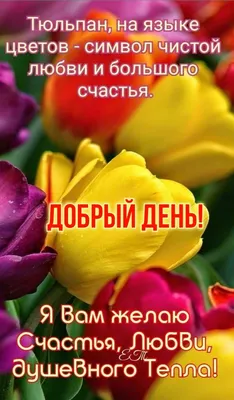 Всем доброго утра. Всем хорошего дня, хорошего и позитивного настроения! С  днем рождения Деда Мороза! - Лента новостей Запорожья