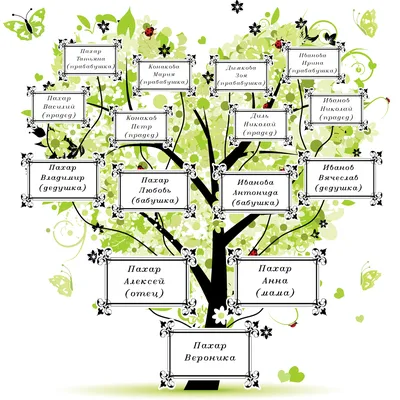Бесплатная Программа для Создания Семейного Древа, Примеры и Шаблоны в  Интернете