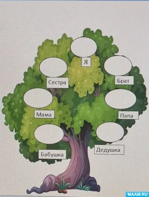 Картинку генеалогическое древо