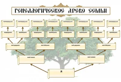 шаблон | Генеалогическое древо, Семейное дерево, Семейное дерево шаблоны