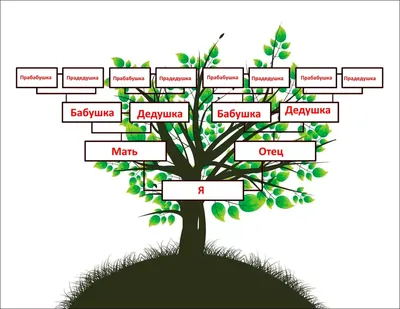 Нарисовать генеалогическое древо династии - Портреты и шаржи по фотографии  в Уфе
