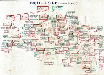 Династия Романовых: генеалогическое древо семьи полностью с годами  правления, схемой и фото | Дом-родословия