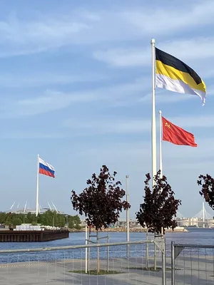 Российский имперский флаг: описание, значение, история черно-желто-белого  флага | Пикабу