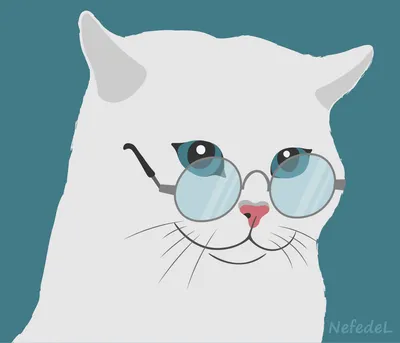 Я с вами на Багамы: кот в солнцезащитных очках развеселил Сеть - видео -  18.04.2019, Sputnik Казахстан
