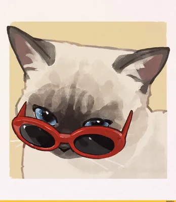 Картина Woozzee Кот в очках купить по цене 505 ₽ в интернет-магазине  Детский мир