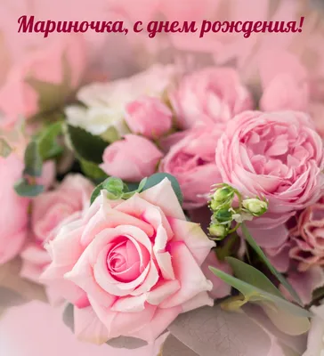 С днём рождения Марина Леонидовна! :: Nikolay Monahov – Социальная сеть  ФотоКто