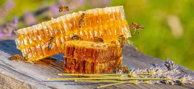 Мед искусственный Урожайный год Гречишный, 350 г - купить с доставкой в  Ростове-на-Дону - STORUM