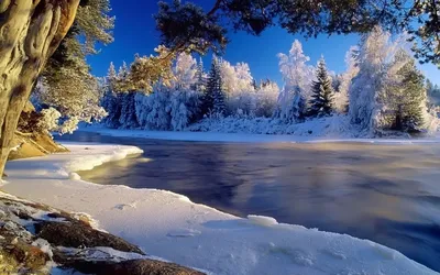 Картинки на заставку телефона зима природа (69 фото) » Картинки и статусы  про окружающий мир вокруг
