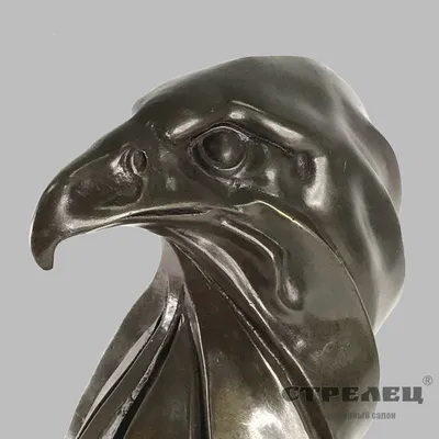 Кольцо - Голова орла / безразмерное в стиле панк / рок / аниме / готика -  купить с доставкой по выгодным ценам в интернет-магазине OZON (711016500)