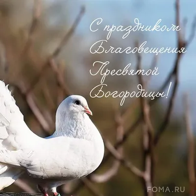 С Благовещением! — Ресторан \"Модернъ\"