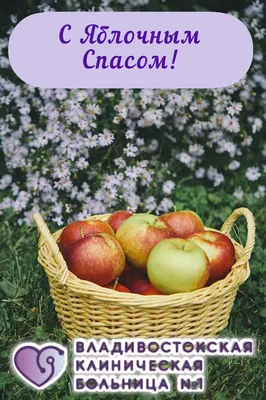 Яблочный Спас 2021 - красивые картинки, открытки, стихи, поздравления с  праздником - Все праздники и поздравления | Сегодня