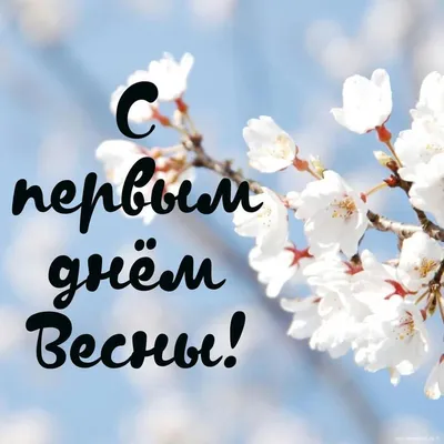 25 необычных картинок «С Первым днем весны!» – Блог Canva