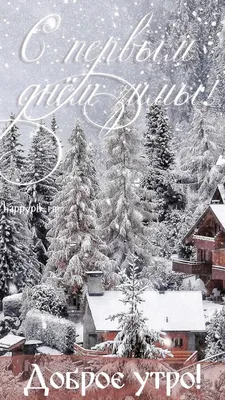 Красивые картинки и открытки с первым днем зимы