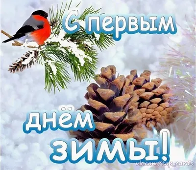 С первым днем зимы, Мастяшки! Зима - одновременно чудесное и непростое  время, это время снегопадов, темных.. | ВКонтакте