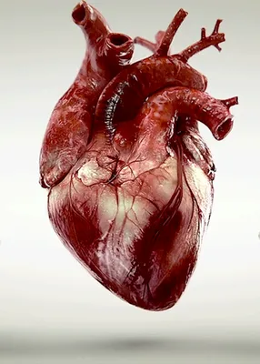 сердце | Розовые сердца, Сердце обои, Обои