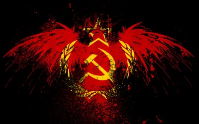 Флаг СССР 90х145 см / Флаг Серп и Молот Звезда Советский Союз 9 Мая -  купить Флаг по выгодной цене в интернет-магазине OZON (519439445)