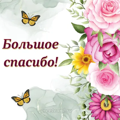 Живая открытка спасибо большое с бабочками