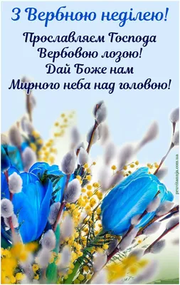 Сьогодні українці святкують Вербну неділю » Профспілка працівників освіти і  науки України