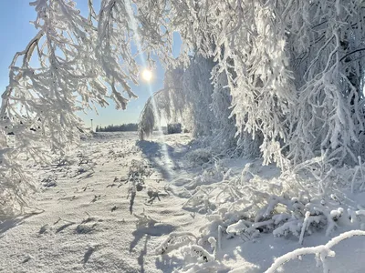 В Метеоинституте рассказали, какая будет зима в этом году в Украине –  включение