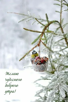 Картина «Зима в Карпатах», Галина Григорук