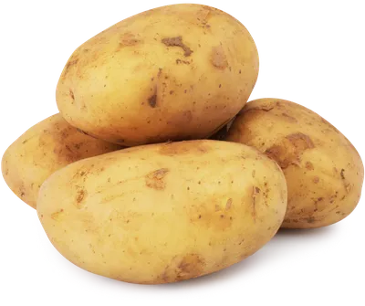Раскрыта правда о картофеле, которую должен знать каждый | 17.04.2022,  ИноСМИ