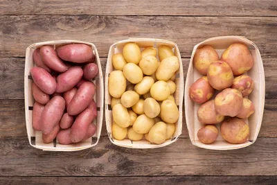 Картофель крупный кг | Корнеплоды | Arbuz.kz