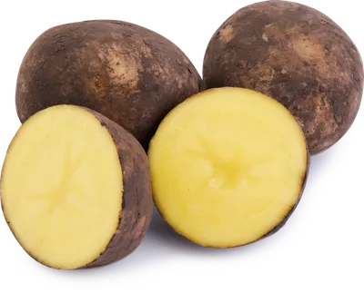 Немецкий семенной картофель с доставкой в Ганцевичах | Ганцавіцкі час