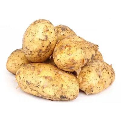 Плохой картофель определяется по этим признакам | РБК Украина