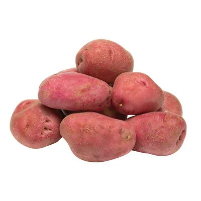 Картофель Отолия Otolia - купить семенной картофель с доставкой по Украине  в магазине Добродар