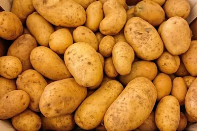 Картопля в Україні подорожчала на 20% — АГРОПОЛІТ