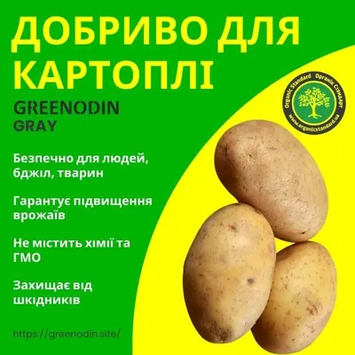 Українські виробники наполягають на забороні всіх видів картоплі із Росії —  АГРОПОЛІТ
