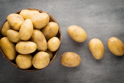 Как правильно есть картофель и чем он полезен: все, что нужно знать про  картошку - 9 ноября 2023 - Фонтанка.Ру