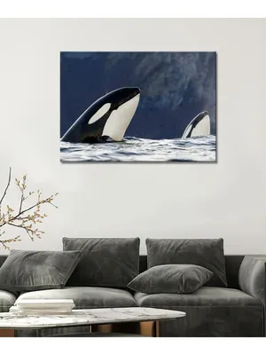 Картина на холсте с подрамником ХитАрт Касатка 3 50x70 - купить по низкой  цене в интернет-магазине OZON (686958595)