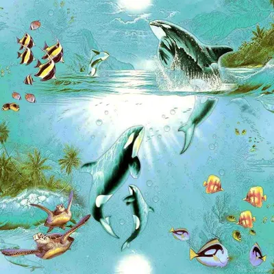 Дельфин-касатка на деревьях Tofino в представлении фона из лодки на дельфин- касатке Стоковое Изображение - изображение насчитывающей колумбия, среда:  175375493