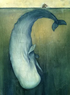 Раскраска Кашалот | Раскраски китов для детей. Раскраска киты, раскраски  морских животных