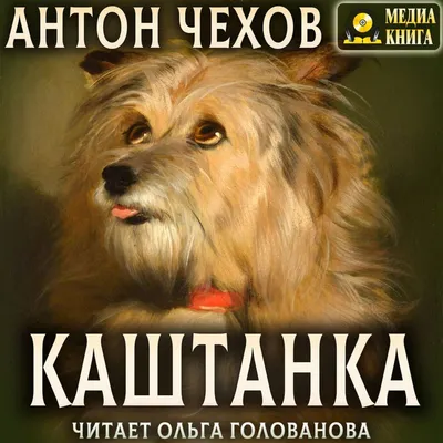 Отзывы на аудиокнигу «Каштанка», рецензии на аудиокнигу Антона Чехова,  рейтинг в библиотеке Литрес