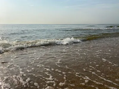 Рекордное обмеление Каспийского моря ожидается в 2023 году — экоактивист