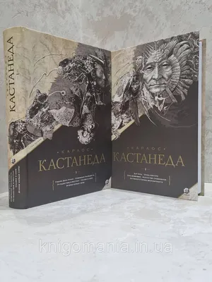 Карлос Кастанеда. Отдельная реальность. Книга 2 · Мир Мудрости