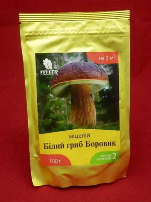 Мицелий Белый гриб Боровик купить в Украине с доставкой | Цена в  Svitroslyn.ua