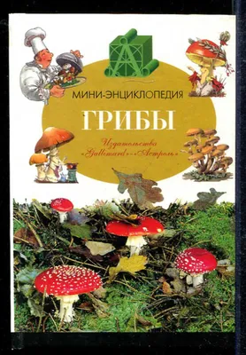 Вкусный или опасный? Ядовитые трубчатые грибы, которые растут у нас |  Полезно (Огород.ru)