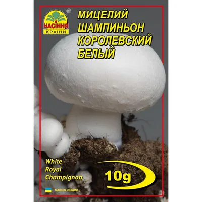 Купить Грибы сушеные Шиитаке 50г по цене 78 грн. в Украине магазин Суши  Повар
