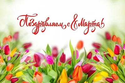 Речмедилова Екатерина | Международный творческий конкурс «8 Марта -  праздник весны, цветов и любви»