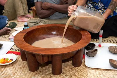 Traditional kava-drinking, cognition, and driver fitness