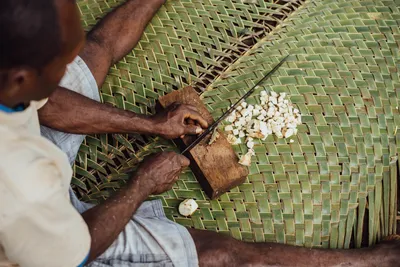 Types and Forms of Kava — The Kava Society