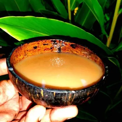 Codex approves regional standard for kava products for use as a beverage |  CODEXALIMENTARIUS