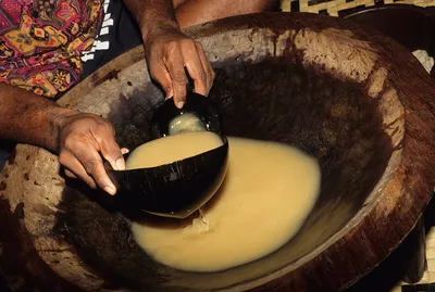 Kava and the Rise of Healthy New York | The New Yorker